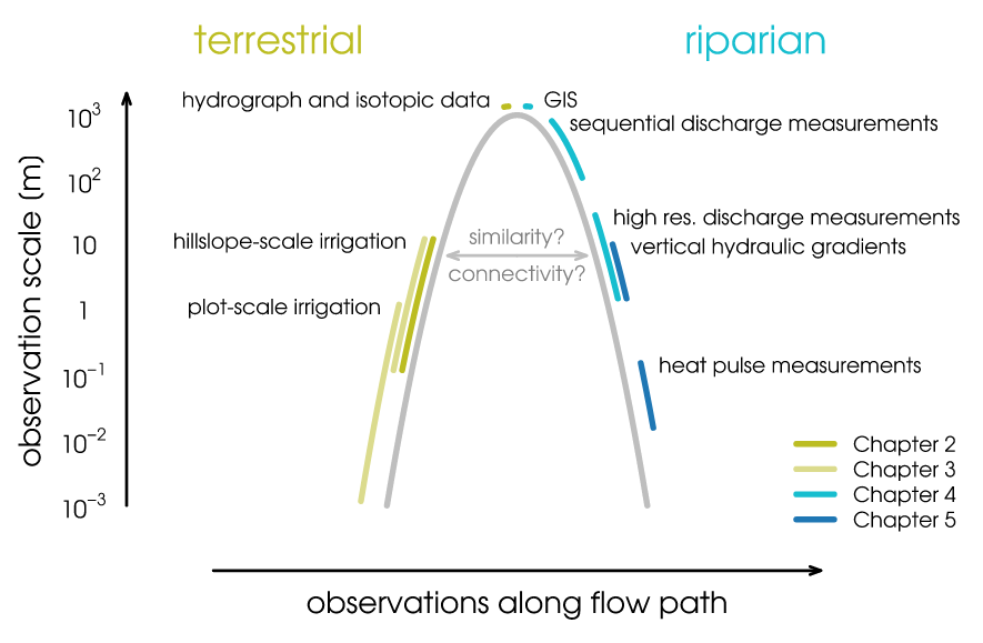 Parabolic scaleway 1