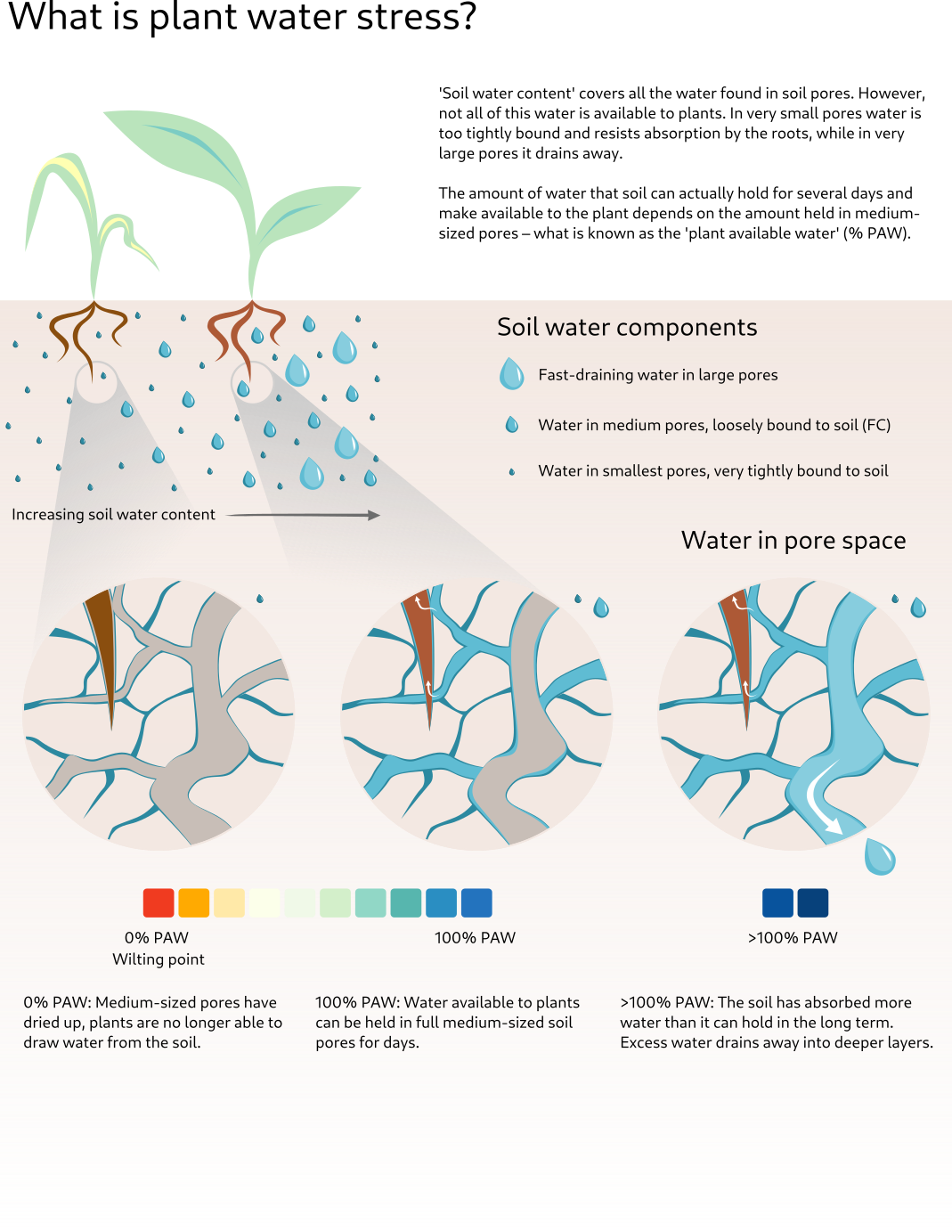 Plant-available water