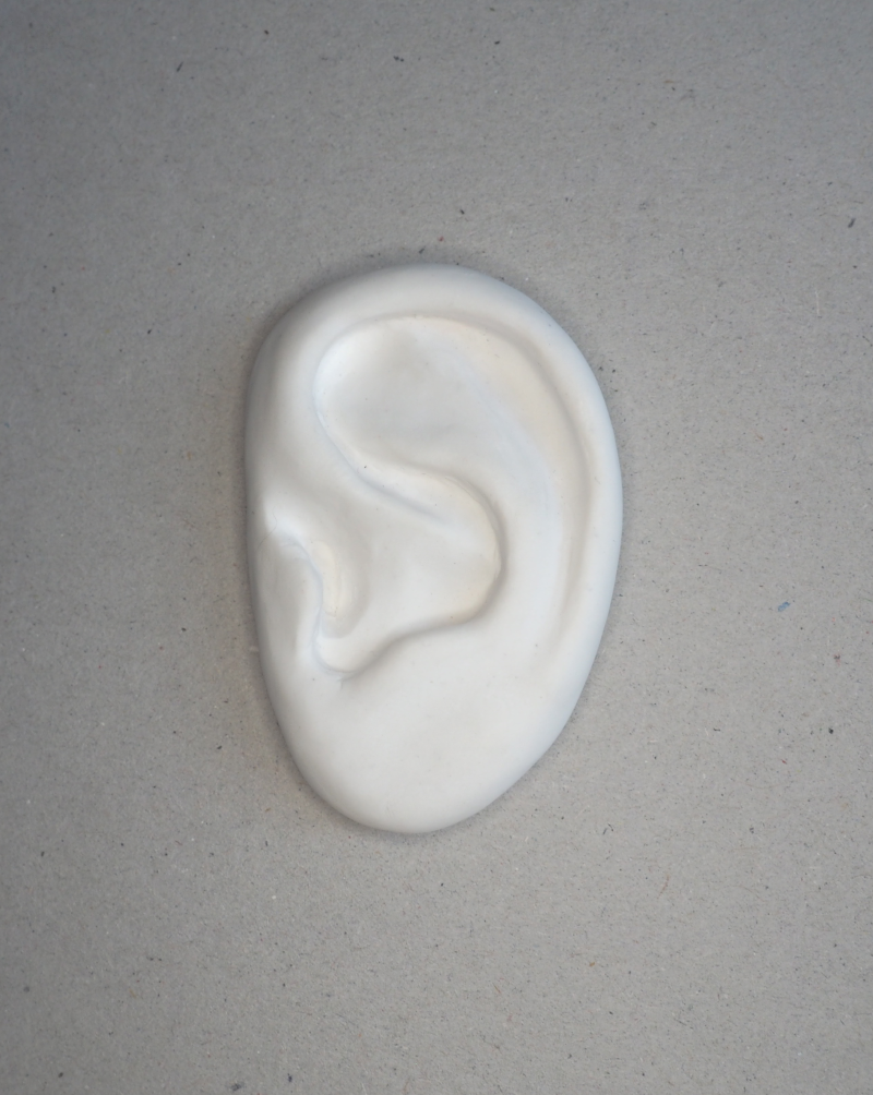 Ear